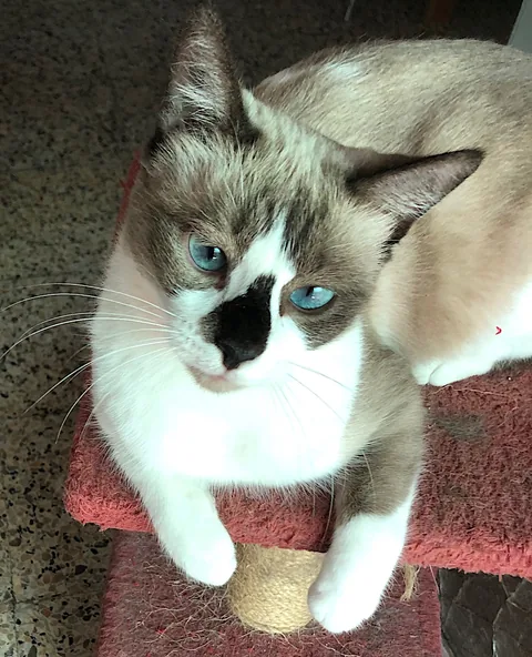 Penny's brief stay